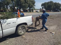 Para realizar reportes y solicitudes, se puede marcar al número 871 175 10 00, extensiones 288, 160 y 162.