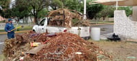 Imagen Mejoran espacios públicos en la colonia Veredas de Santa Rita en Gómez Palacio