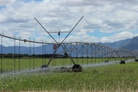 Ciclo agrícola Aplicarán 500 millones de pesos en Distrito de Riego 017 Región Lagunera