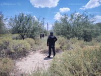 Imagen Hallan cráneo y restos óseos en predio baldío de Matamoros