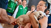 Arranca campaña de vacunación antirrábica, desparasitación y esterilización de mascotas en Matamoros