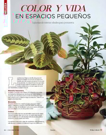 27rostros34