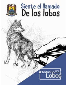 16siglon84