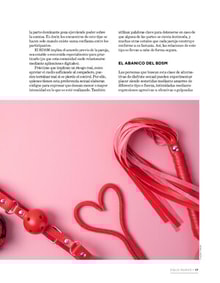 28siglon19