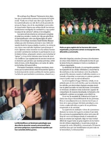 26siglon53