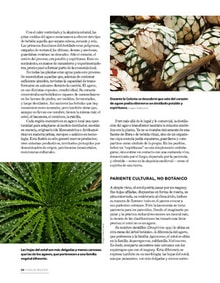 05siglon52