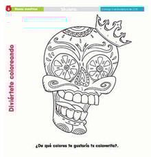 04teco08