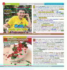 18teco06