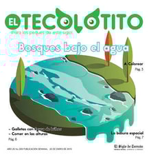 20teco01
