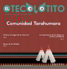 17teco01
