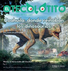 10teco01