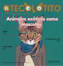 17teco01