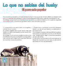 21teco04