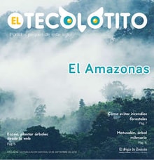 01teco01