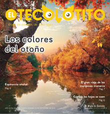22teco01