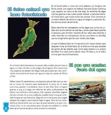 06teco06