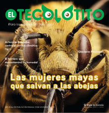 03teco01