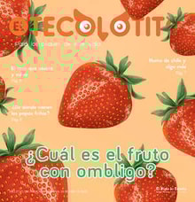 26teco01