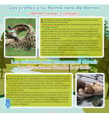 03teco06