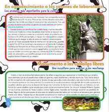 05teco06