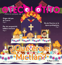 01teco01
