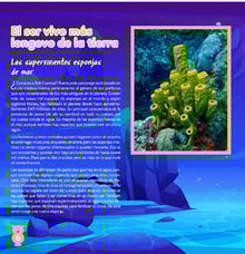 03teco06