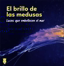 10teco04