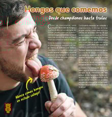 07teco06