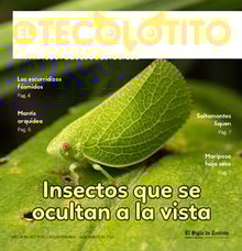 14teco01