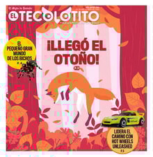 26teco01