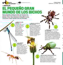 26teco04