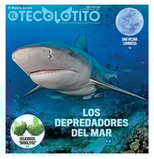 06teco01