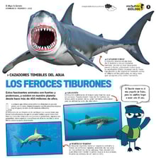 06teco03