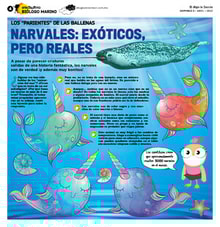 03teco04