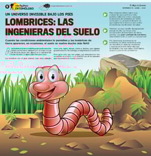 10teco06