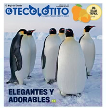 24teco01