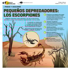 28teco04