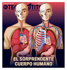 11teco01