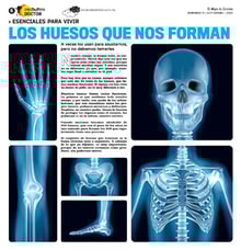 11teco06
