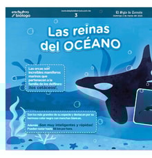 09teco04
