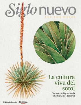 Pagina 01  Suplemento siglon año: 19 numero: 497