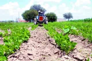 Familias enteras están abandonando el campo de Durango y el de otros estados, aunque éstos sean prósperos, según afirma el Consejo Estatal de Población.
