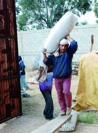 Productores de frijol de Cuauhtémoc, Cuencamé, esperan que ahora sí se les paguen las dos mil toneladas que les deben las empresas acopiadoras.