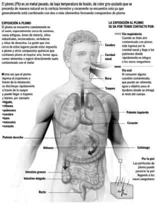 Niños, los más vulnerables al plomo