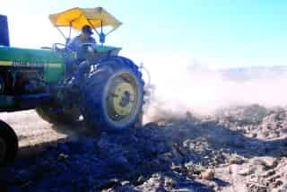 La siembra de pastizales buffel beneficiará a la zona semidesértica para alimentar al ganado.