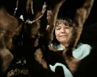 Velafrons Coahuilensis es el nombre de la criatura, descubierta en Rincón Colorado, Coahuila por la paleontóloga Martha Carolina Aguillón. (Fotografía de AP)