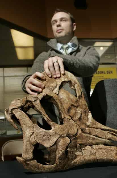 NUEVO DINOSAURIO ES COAHUILENSE