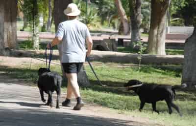 Muchas personas llevan a sus mascotas al bosque Venustiano Carranza, no obstante que está prohibido. (Archivo)