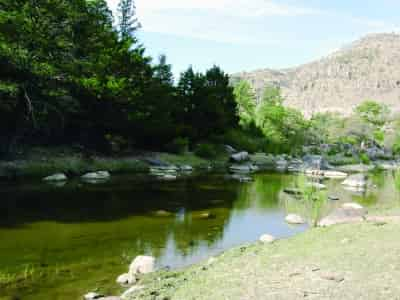 El cuidado de los afluentes de la entidad es elemental para garantizar el abasto del agua.