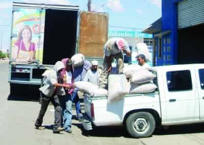 Los “coyotes” y las comercializadoras asignadas por el Gobierno son las únicos beneficiados por la comercialización del frijol, dejando así de nueva cuenta rezagados a los productores.